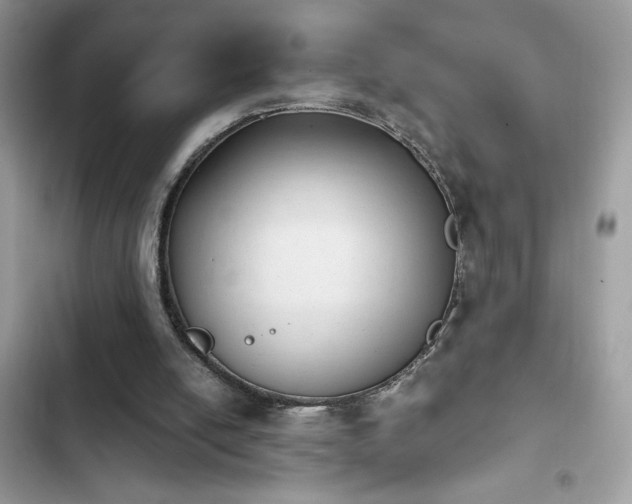 X0000103960054200809191520