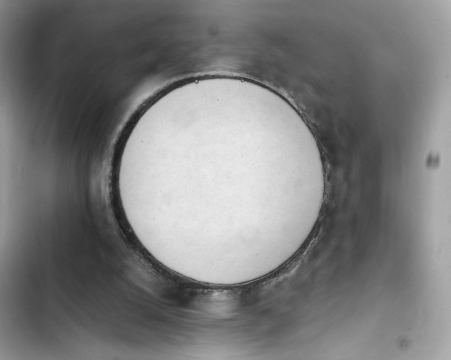 X0000103960056200809191521