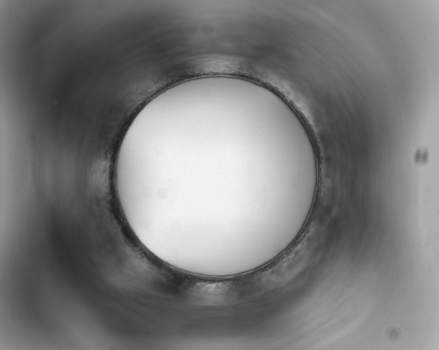 X0000103960057200809191521