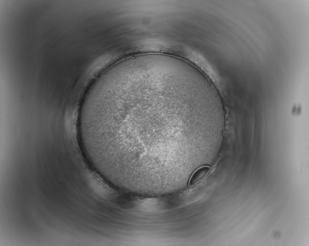 X0000103960058200809191521