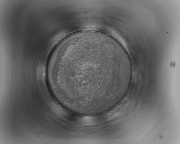 X0000103960059200809191521