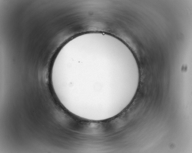 X0000103960060200809191521