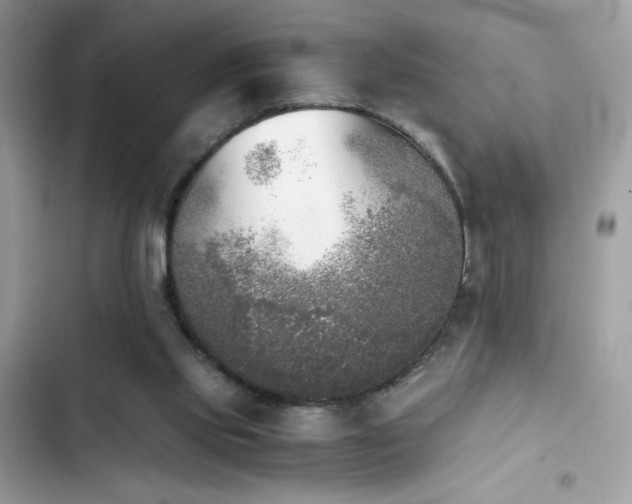 X0000103960061200809191521