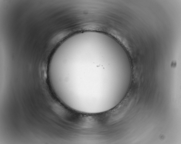 X0000103960062200809191521