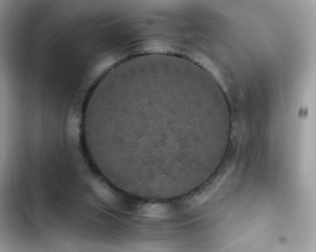 X0000103960063200809191521