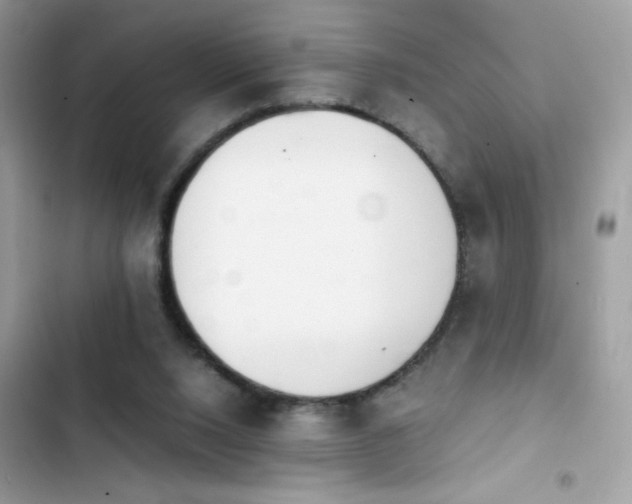 X0000103960064200809191521