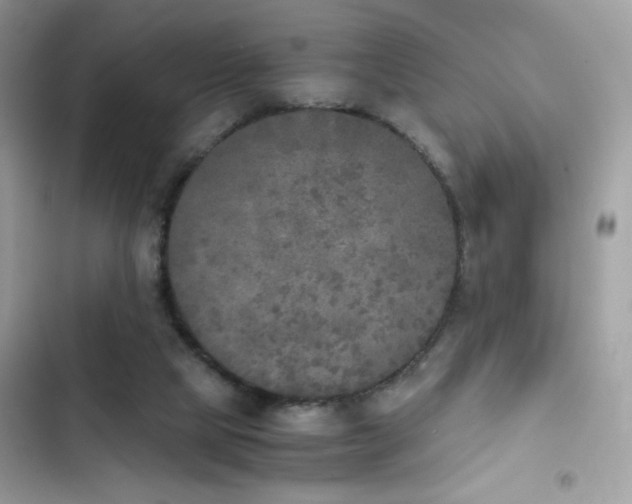 X0000103960065200809191521