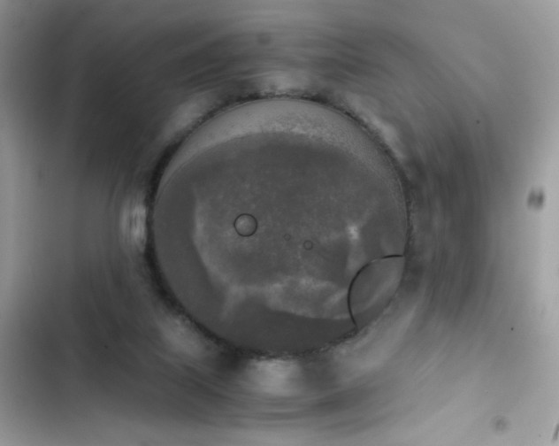 X0000103960067200809191521