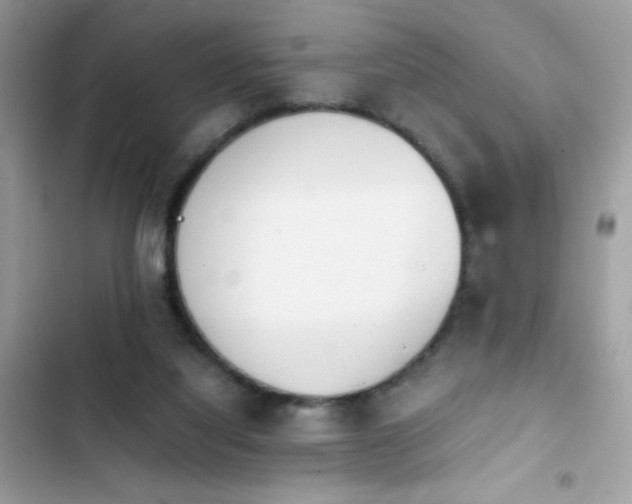 X0000103960068200809191521