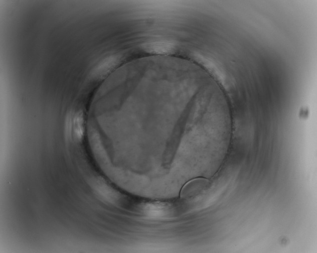 X0000103960069200809191521