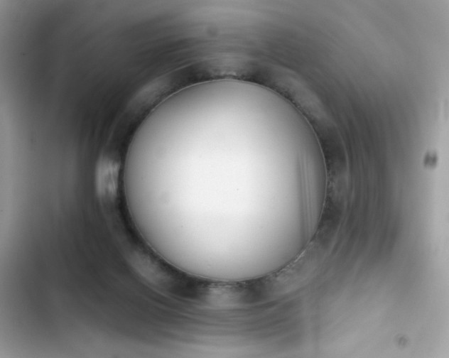 X0000103960070200809191521