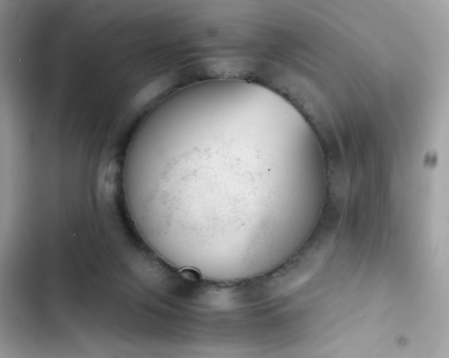 X0000103960071200809191521