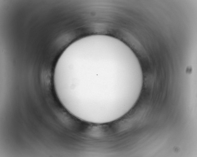 X0000103960072200809191521