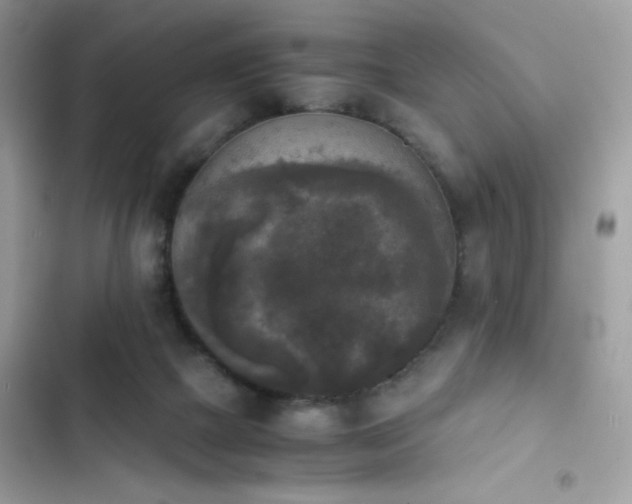 X0000103960073200809191521