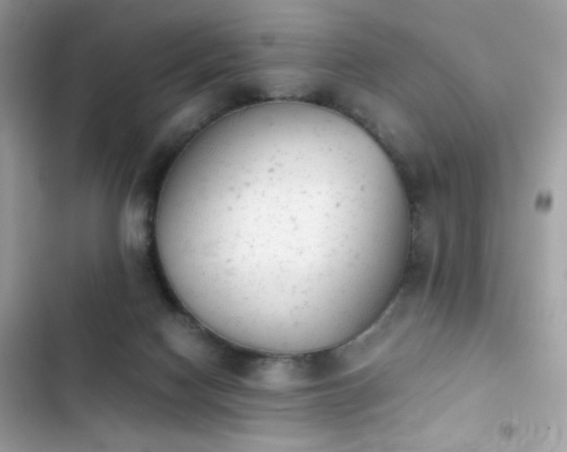 X0000103960074200809191521