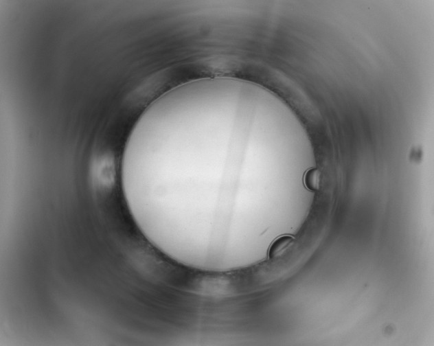 X0000103960075200809191521