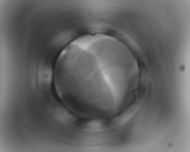 X0000103960076200809191521