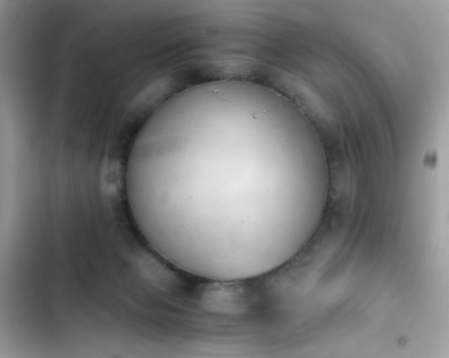 X0000103960077200809191521