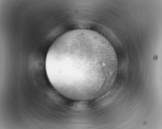X0000103960078200809191521