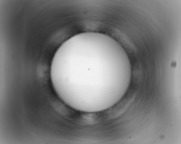 X0000103960079200809191521