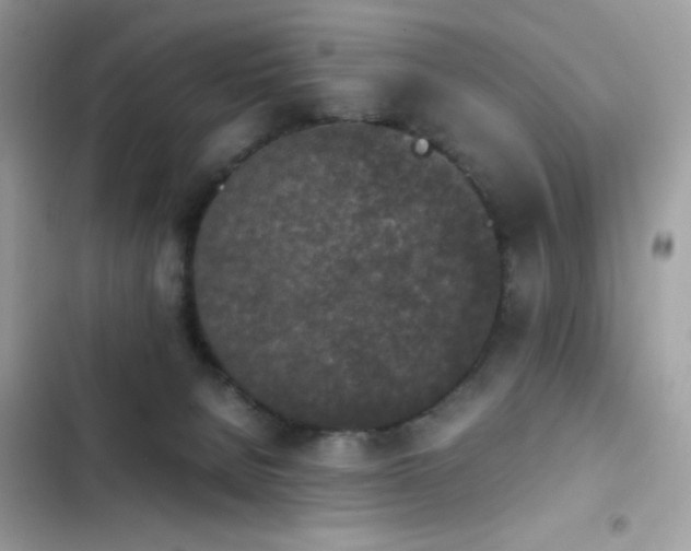 X0000103960080200809191521