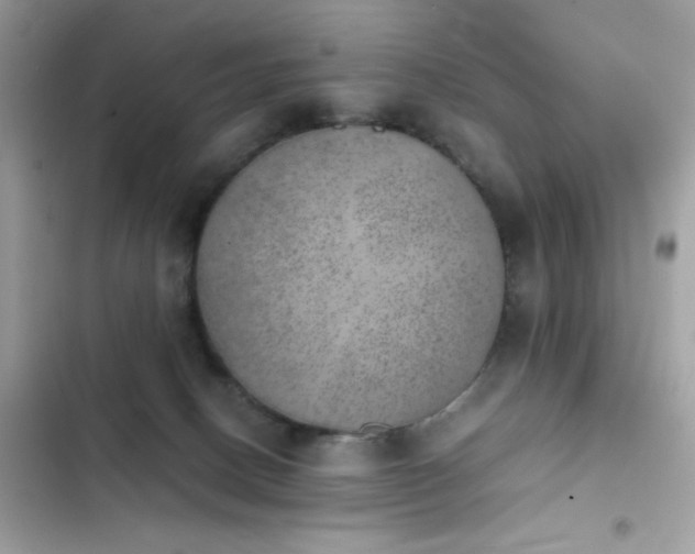 X0000103960082200809191521