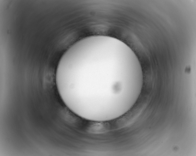 X0000103960083200809191521