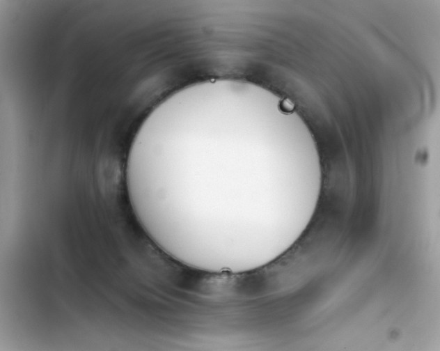 X0000103960084200809191521
