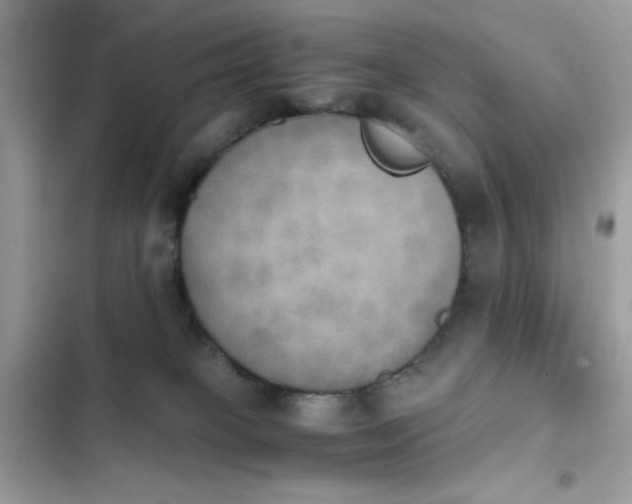 X0000103960085200809191521