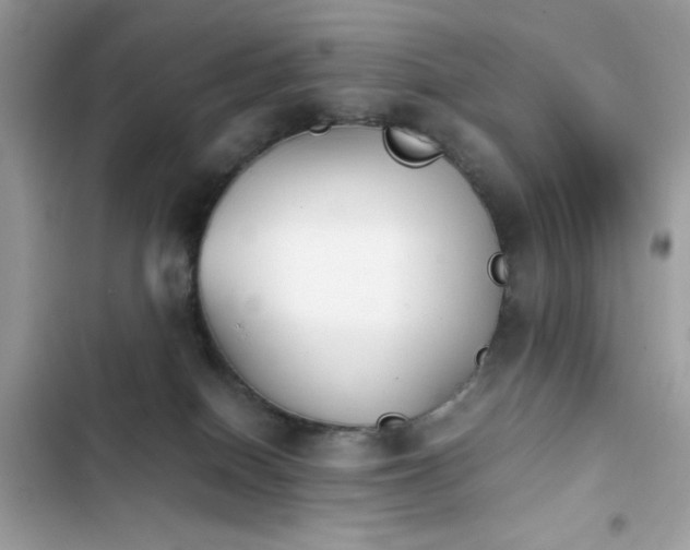 X0000103960086200809191521