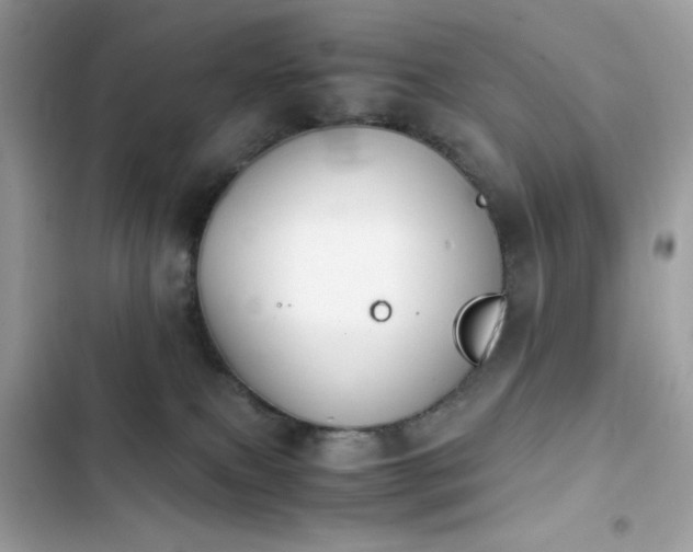 X0000103960087200809191521