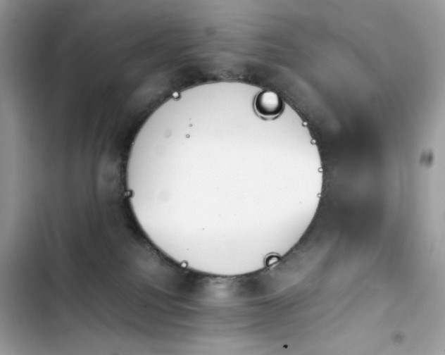 X0000103960088200809191521