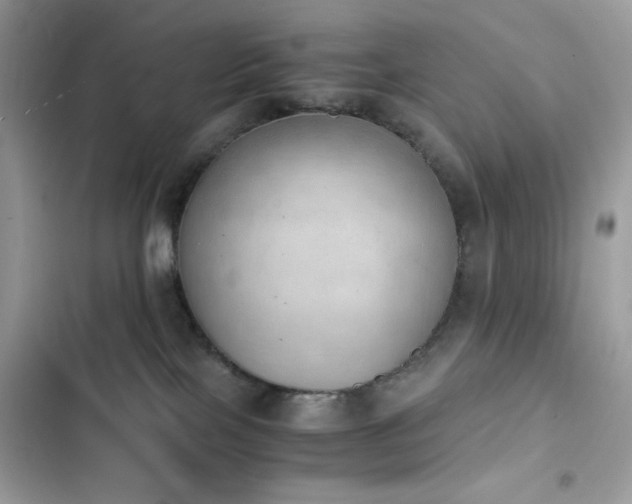 X0000103960089200809191521