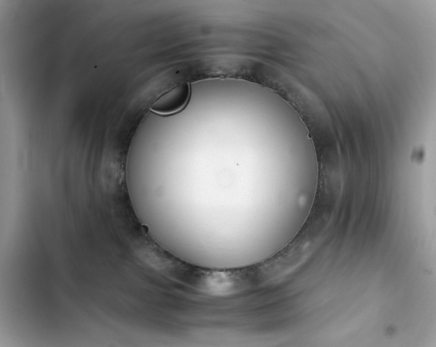 X0000103960091200809191521