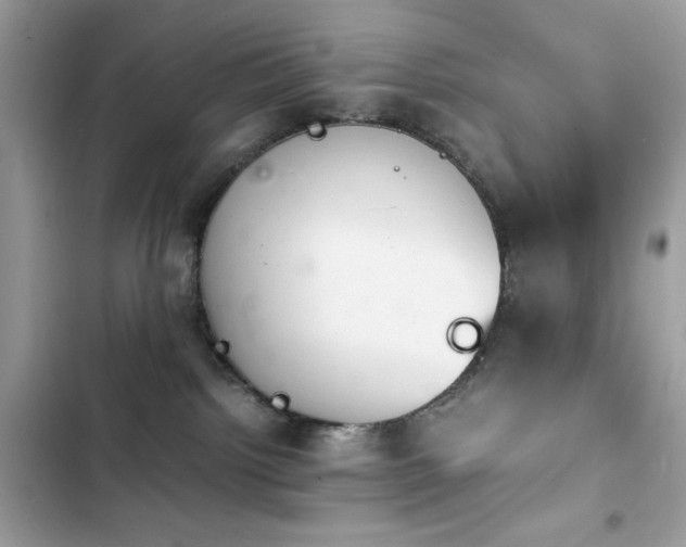 X0000103960092200809191521