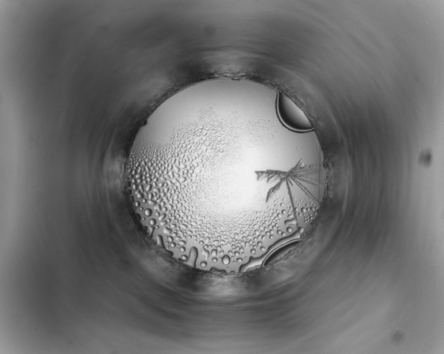 X0000103960093200809191521