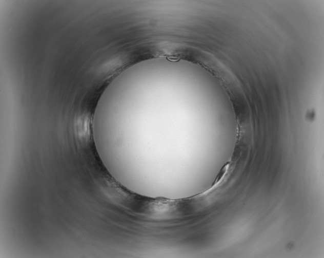 X0000103960094200809191521