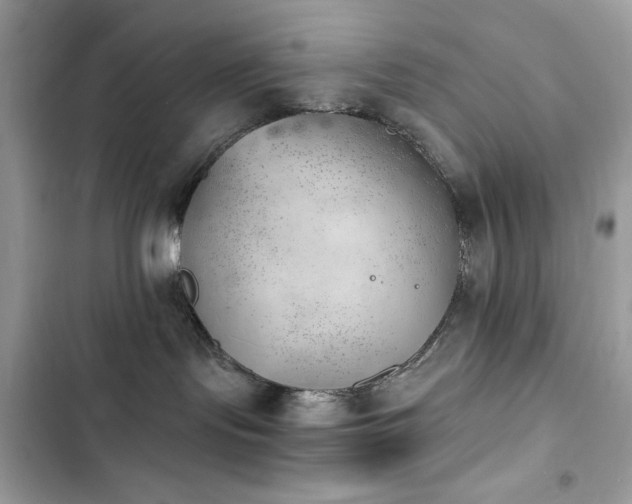 X0000103960095200809191521