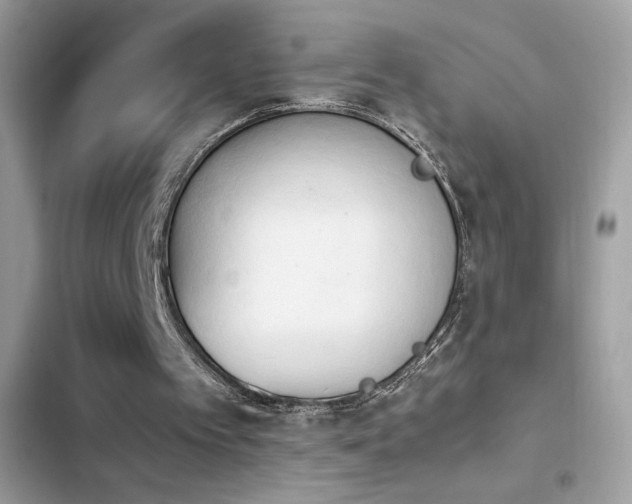 X0000103960097200809191520