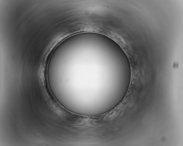 X0000103960098200809191520