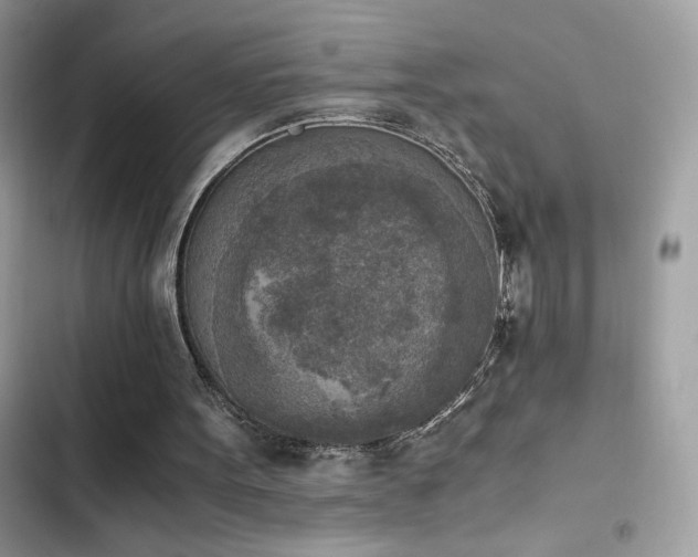 X0000103960099200809191520