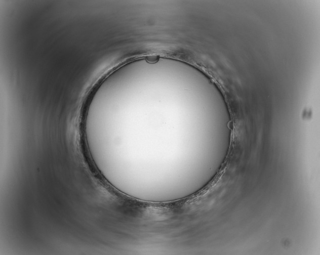 X0000103960101200809191520