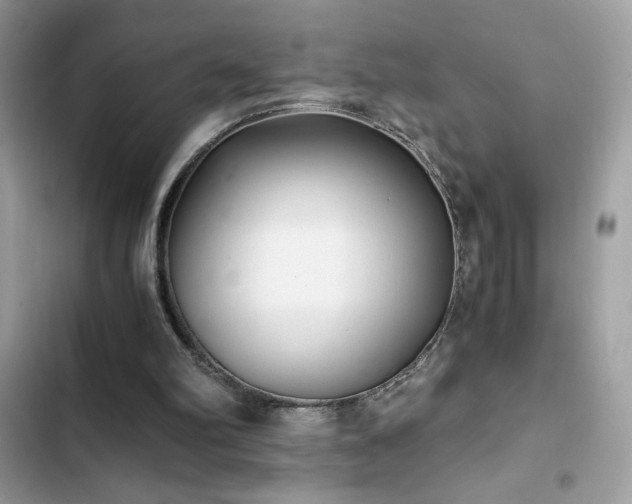 X0000103960102200809191520