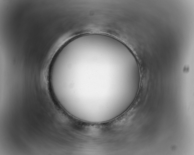 X0000103960103200809191520