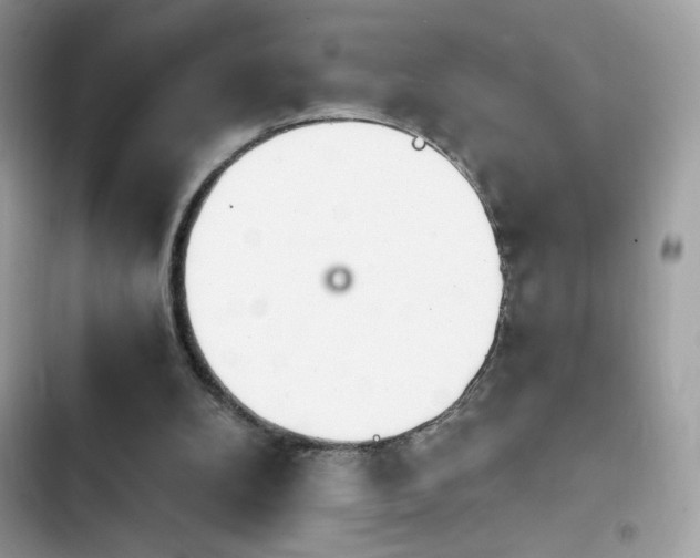 X0000103960104200809191520