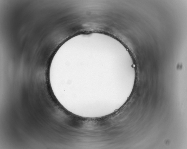 X0000103960105200809191520