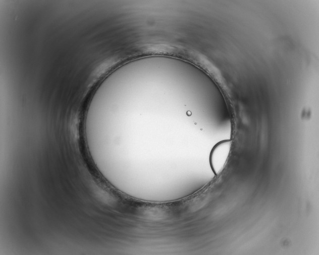 X0000103960106200809191520