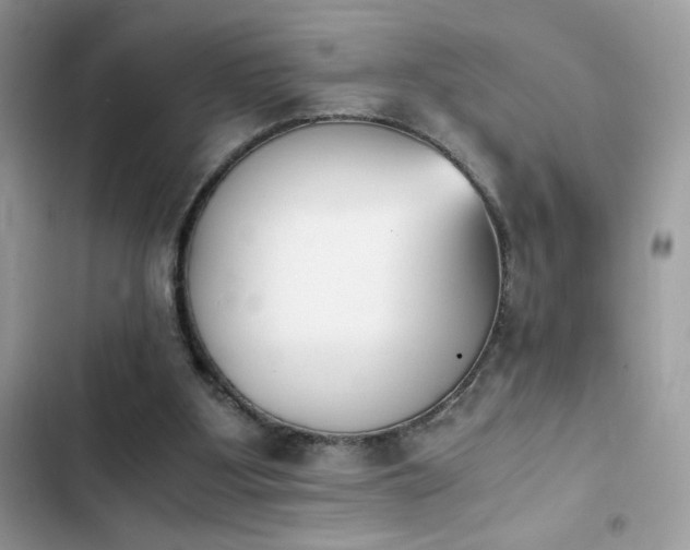 X0000103960107200809191520