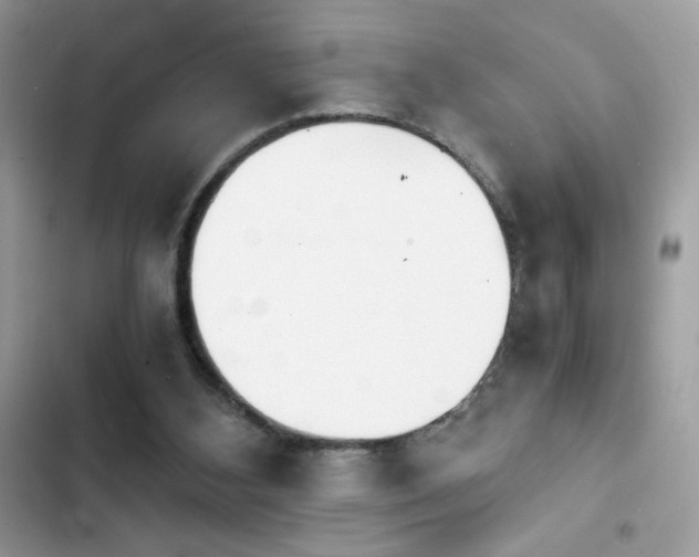 X0000103960108200809191520