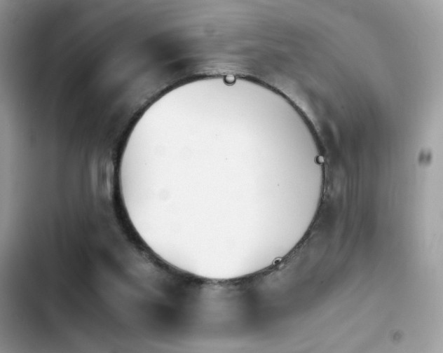 X0000103960109200809191520